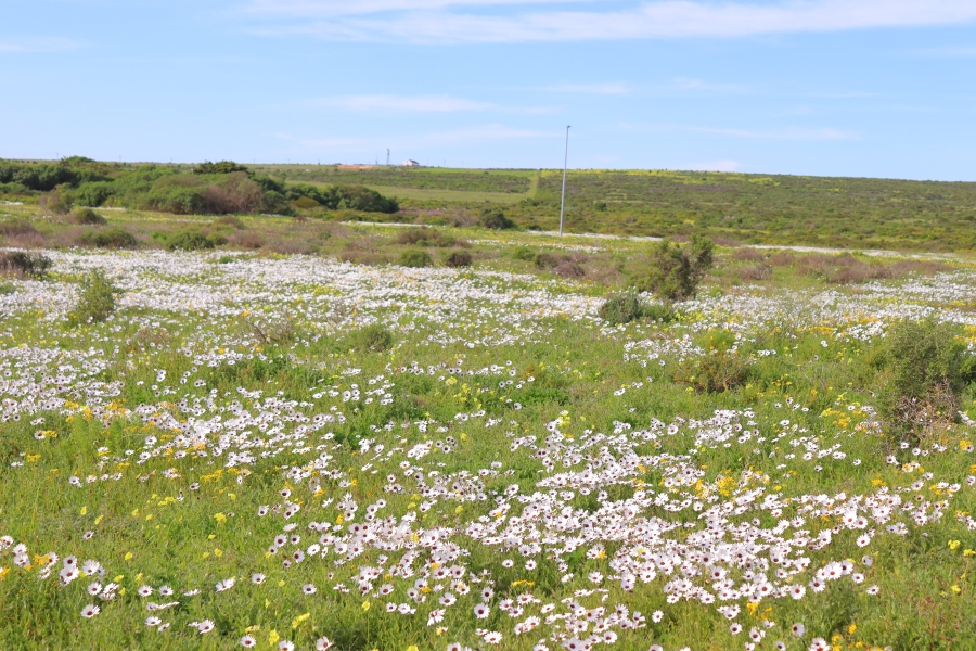 0 Bedroom Property for Sale in Jacobsbaai Western Cape